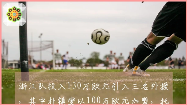 浙江队投入130万欧元引入三名外援，其中朴镇燮以100万欧元加盟，托利奇则自由转会而来