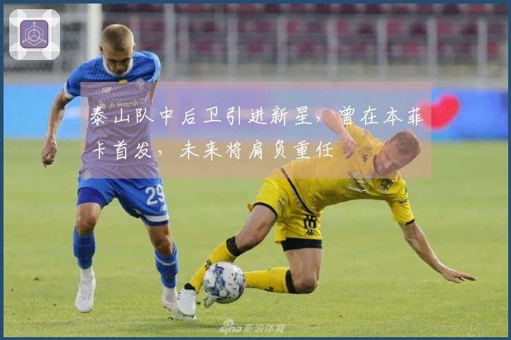 泰山队中后卫引进新星，曾在本菲卡首发，未来将肩负重任