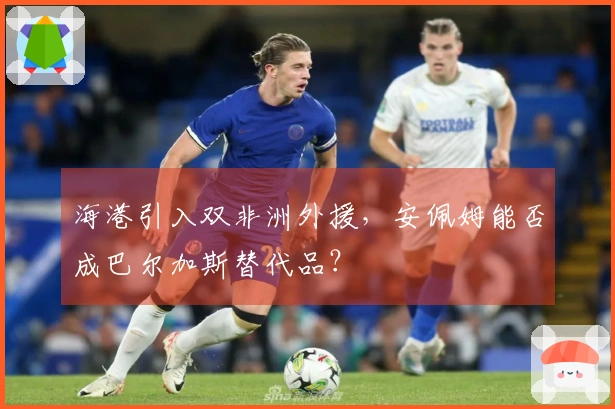 海港引入双非洲外援，安佩姆能否成巴尔加斯替代品？