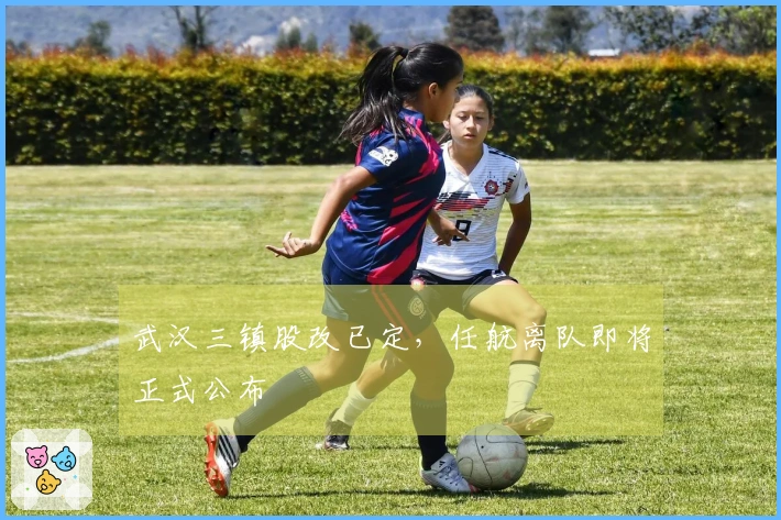 武汉三镇股改已定，任航离队即将正式公布