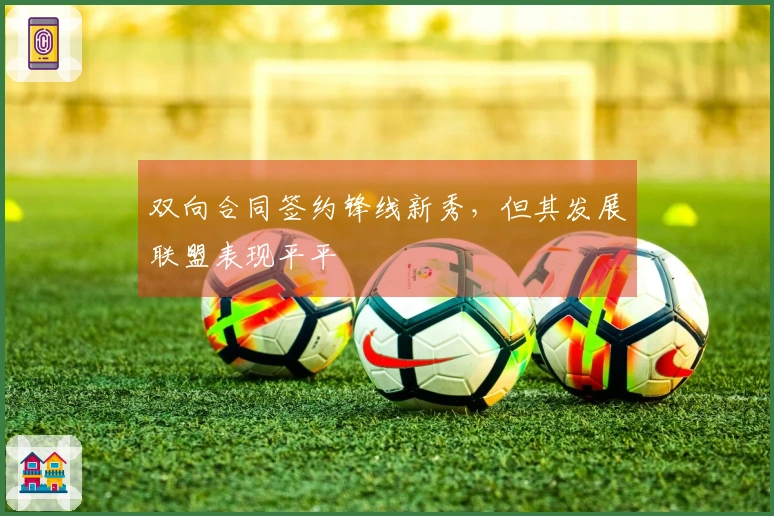 双向合同签约锋线新秀，但其发展联盟表现平平