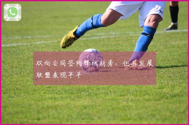 双向合同签约锋线新秀，但其发展联盟表现平平